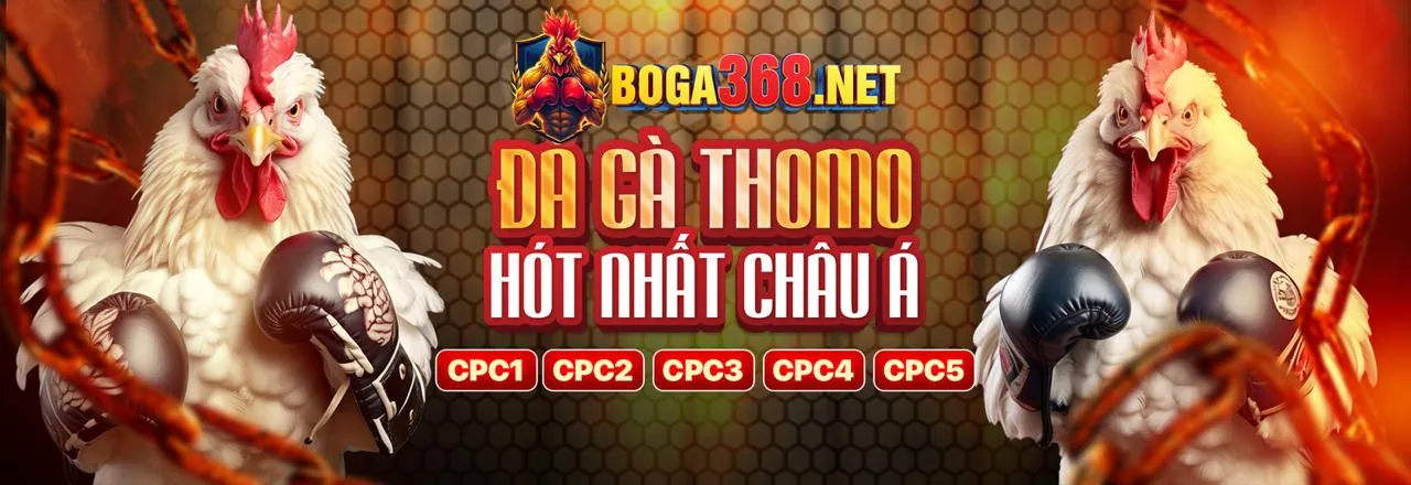 Tiền thưởng chào mừng XIN88 cho người chơi mới