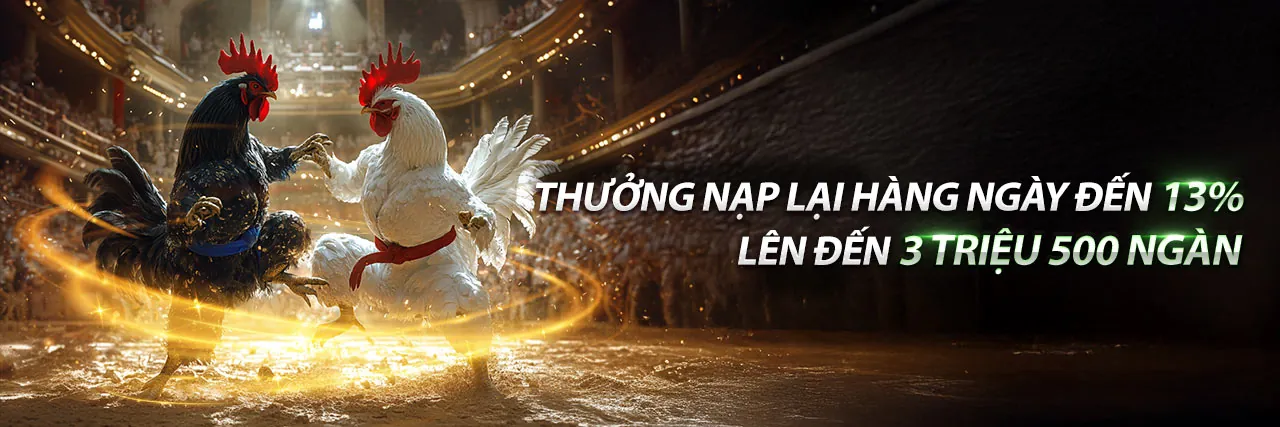 Hình ảnh chủ đạo blog nhà cái nhà cái xin88