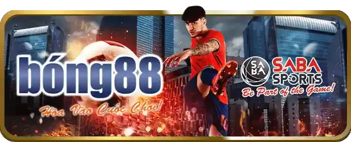 Hướng dẫn cá cược thể thao tại nhà cái nhà cái xin88
